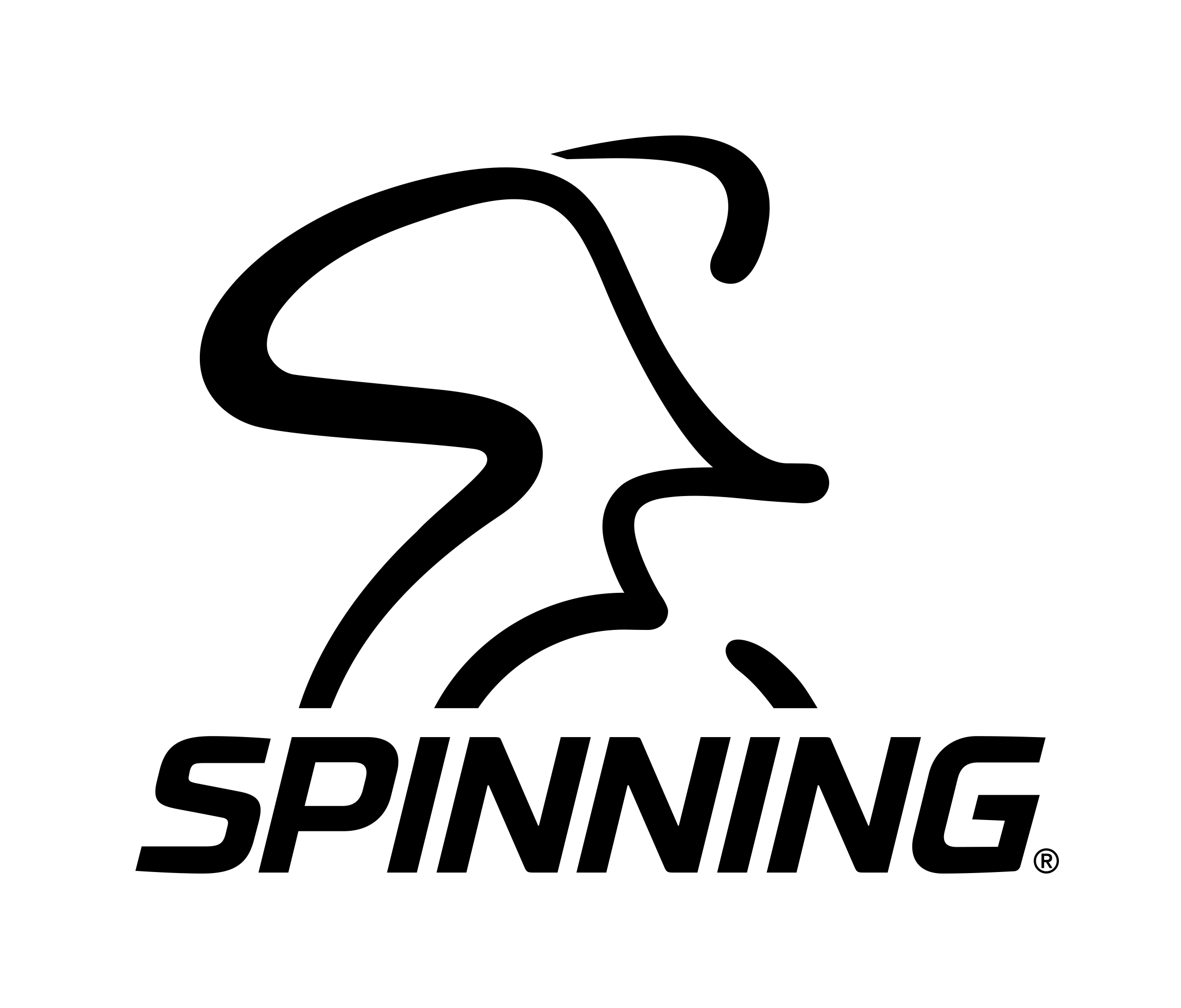 sp_spin_logo